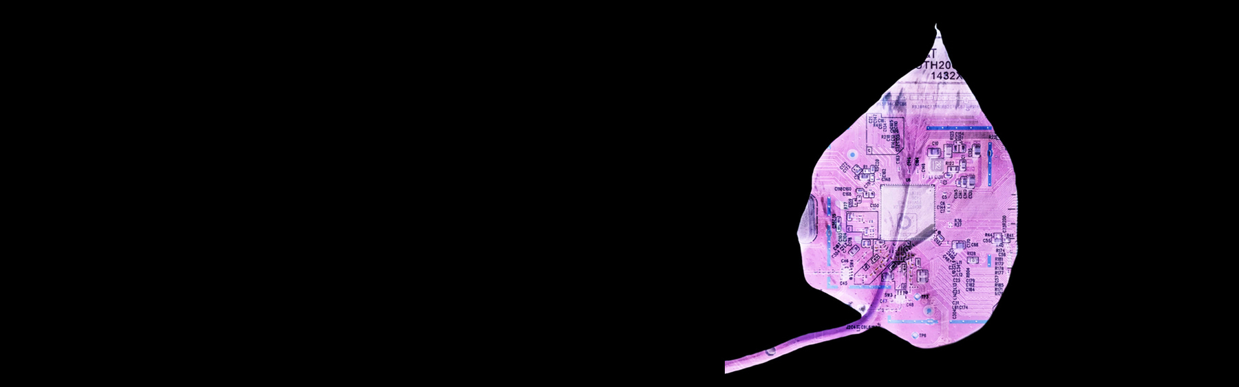 Artwork by Tsung-yu Lu