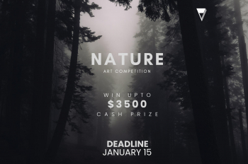 Call for Entries Art Competitions and Contests for Artists